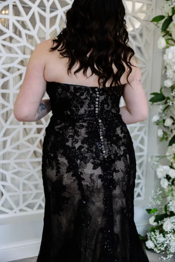 Rose + Grace Apollo #3 thumbnail