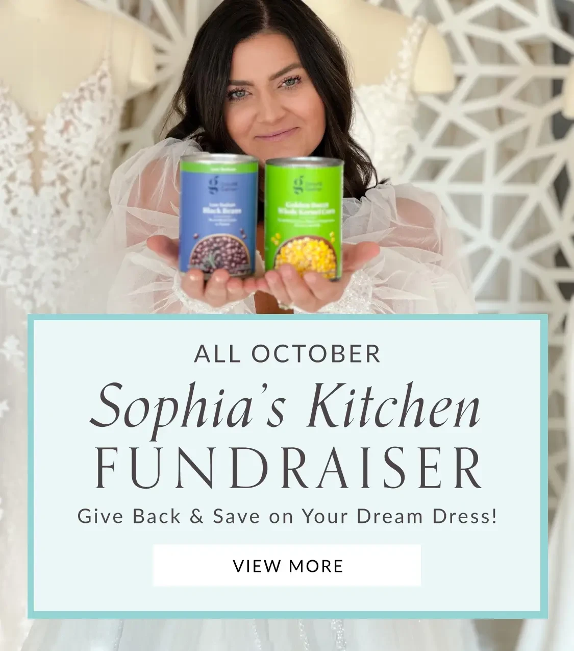 Sophia’s Kitchen Fundraiser Mobile